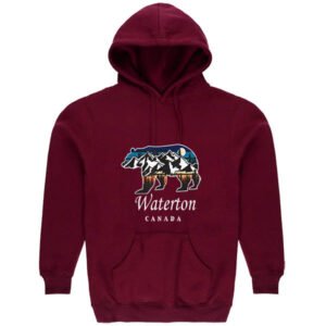 Adult hoodie Retro Bear w/Mountains inside w/Town Name